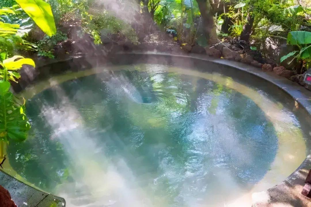 组装机械恐龙3